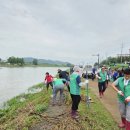 임당1동 이미지