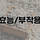 율무가루 효능 율무팩 편평사마귀 족저사마귀 효과 없을 때