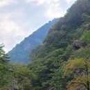 옥계동대산펜션 이미지