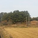 춘포면-07 이미지