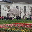 평택-평택-16 이미지