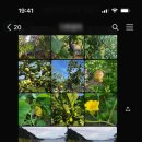 해돌마루펜션 이미지