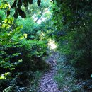 표선리-11 이미지