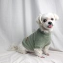 하이퍼피 이미지