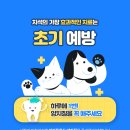 해온동물의료센터 이미지