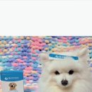 제이원피앤지 이미지