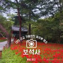 보석사   은행나무 | 대전근교 여행 금산 보석사 가을 꽃무릇 은행나무 명소 추천