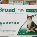 마석백제약국 이미지