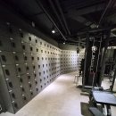 GYM101 | 광명동헬스장 GYM101 후기, 헬스기구 박물관 같은 곳을 만났다