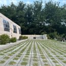 펜션서곡리 이미지