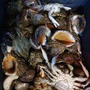 둘레길펜션 이미지