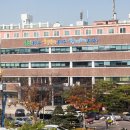 서구건강가정지원센터 이미지