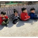 새화랑유치원 이미지