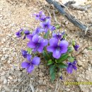 양림농장 이미지