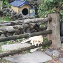 원앙목장 | 2021 제주