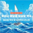 365진약국 | 화성시 봉담읍 일요일 약국, 심야약국 리스트
