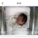 (주)유안 | D+0 유안일기, 이오에서 유안이로 ෆ