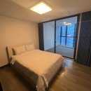 팔레드시즈