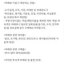 카라반호스텔