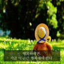 행복의순간 Daum카페