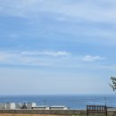 새로나공인중개사사무소 이미지