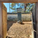 매계조위신도비 이미지