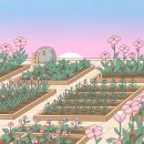 민간약초 생활한방 | 삼백초 효능 자세히 알아보기