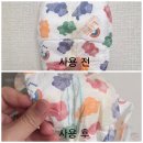 똥싼강아지 | 라비앙독 강아지 기저귀 내돈내산 후기 | 쇼파를 되찾기 위한 현실적인 선택