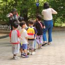 판교제12호(숲안어린이공원) | 분당 숲체험, 숲파티포레 분당중앙공원 8월 일일 밤숲체험