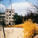 성신고등학교 이미지