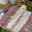 한라 회 수산 이미지