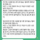 캣맘 살해 협박하는 한남 이미지