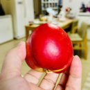 재구매한 새콤 달콤 천도복숭아 맛있게 먹은 후기