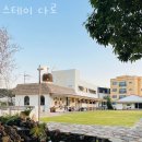 스테이 다로 2 네이버블로그