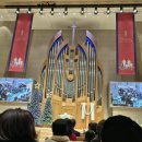 행복한영광교회, 생명나무교회 | 인천중앙교회 크리스마스 예배 🎄
