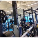 데이 휘트니스 | 신정동 헬스장 추천 환기·시설·동선 모두 완벽한 핏데이 휘트니스&amp;필라테스 이용 후기