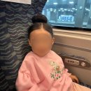 J캣 | 공주님의 로망 실현 롯데월드 샤론캣 드레스샵 방문 (퍼레이드 체험기)