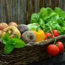 토마토휘트니스 이미지