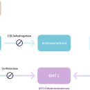 양재약국 이미지