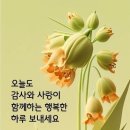 ♤보신탕 집에서♧ 이미지