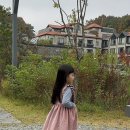 엘로디니니 네이버블로그