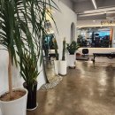 더 골드짐 이미지