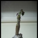 산호유통 이미지