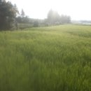 춘자펜션 이미지