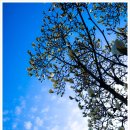 나주목문화관 이미지