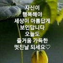 5월7일ㅡ금요일 ㅡ비소식 있읍니다ㅡ 이미지