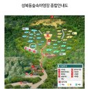 성북동언니 | 대전 성북동 숲속야영장 명당 대형견 동반 캠핑장 후기