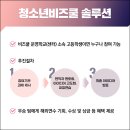 ㈜루트관광 이미지