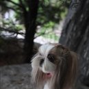얌얌 이미지