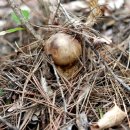 산양농산촌체험마을 이미지